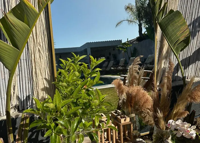 Mavi Yengec Butik 住宿加早餐酒店 3*